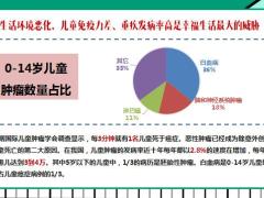 太平福禄娃说明会孩子出生的三件大事六大特色案例演示33页.pptx