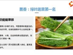 每日健康茴香三伏吃它养阳驱寒还是胃病克星10页.pptx 