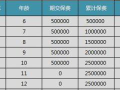 招商仁和和裕盛世1.0产品自动计划书.xlsx