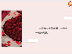 每日鸡汤励志人生感受温柔领略山河岁月流金人间值得.zip