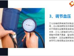 每日健康三七能调理和防治的问题都在这儿15页.pptx