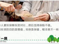 保险与投资收益偏好与损失厌恶17页.pptx