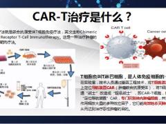 华泰CART权益卡成功案例六项权益VIP客户权益升级21页.pptx