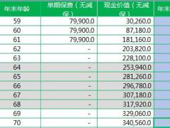 瑞泰瑞享福盈终身寿险保险计划书保额算保费.xlsx