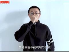 视频晨操孤勇者手语版.zip