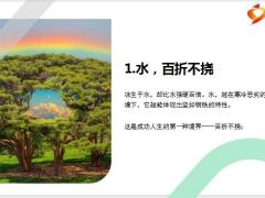 每日正能量人生的最高境界是像水一样活着10页.pptx