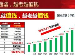 国寿臻享传家五个顶级超级C账户的特点35页.pptx