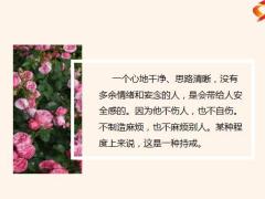 每日鸡汤励志人生愿你活得通透拎得清轻重辨得明是非.zip
