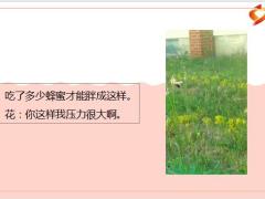 每日快乐早会22年7月5日使用12页.pptx