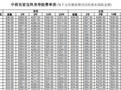 中荷安家宝终身寿险合同条款费率.zip