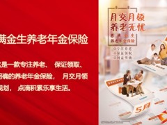 新华惠满金生养老年金保险产品优势四个案例销售流程35页.pptx