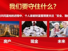 新华惠金享年金保险守住房产现金未来案例演示42页.pptx