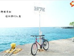 鲜花海边夏季早会流程模板10页.pptx