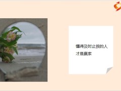 每日鸡汤励志人生人生忽如寄莫辜负茶汤和好天气.zip