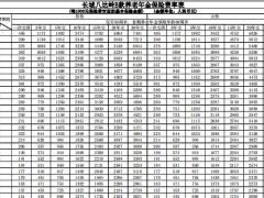 长城八达岭B款养老年金保险条款费率.zip