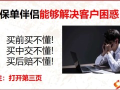 寿险营销的三个关键动作保单伴侣使用57页.pptx