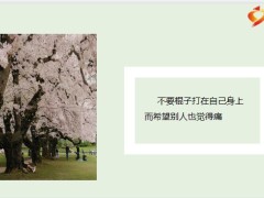 每日鸡汤励志人生愿你浅尝岁月被时间深情相待在芸芸人海不惧是非与尘埃.zip