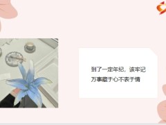 每日鸡汤励志人生愿你外表平静如水内心坚定如山.zip