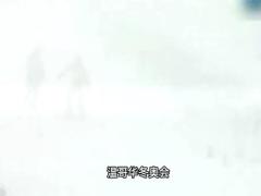 激励视频徐梦桃四届奥运16年青春是多么的不容易时光不负追梦人.zip