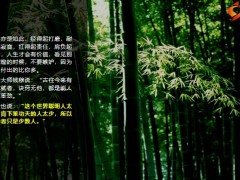 每日正能量竹子定律成长不是一蹴而就而是厚积薄发8页.pptx