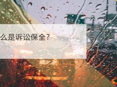 最火非车险诉讼财产保全责任险展业指引23页.pptx
