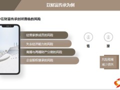 高端客户保险需求的有效唤醒案例分析40页.pptx
