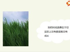 每日鸡汤励志人生时光清浅岁月安暖只愿心素如莲人淡如菊.zip