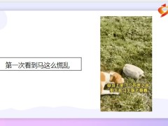 每日快乐早会22年7月18日使用12页.pptx