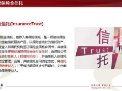 北京人寿京福传世爱终身寿险产品规则责任投保规则条款优势产品分析29页.pptx