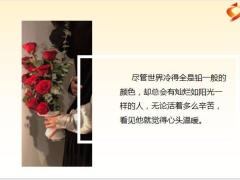 每日鸡汤励志人生愿我们未来的每一天既有惊喜可悦也有收获可慰.zip