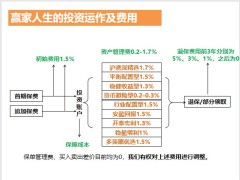 泰康赢家人生终身寿险投资连结型产品解析基本形态账户介绍13页.pptx