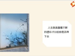 每日鸡汤励志人生不辜负自己不将就生活你的存在配得上世间所有的美好.zip