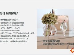 认识我们的工作保险的前景保险改变生活保险让你成功30页.pptx