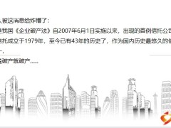 新华信托易安财险相继破产我们的钱怎么办20页.pptx