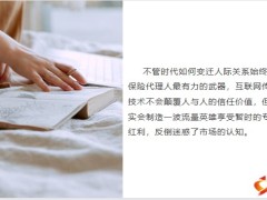 斯特莱登金字塔和拓客创新三大趋势两条基本原则25页.pptx