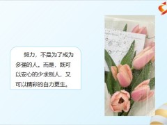 每日鸡汤励志人生祝自己有说有笑晚上睡个好觉.zip