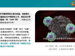 疗法CART治疗胰腺癌肝癌胃癌等14大癌种传捷报22页.pptx