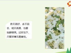 每日鸡汤励志人生往后余生愿时光永远静好岁月款款如歌.zip