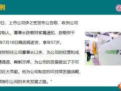 伊之密案例分析企业家要提前构筑两道防火墙21页.pptx