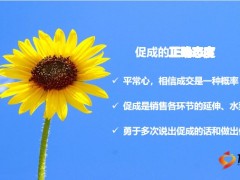 专业化销售流程之促成异议处理含备注33页.pptx