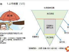 大家欣怡守护医疗保险背景保险责任投核保规则保费价格产品亮点销售案例12页.pptx