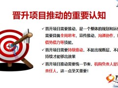 保险公司团队人力发展两会一部晋升操作体系总结30页.pptx