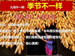 2022年9月份启动会七月回顾见证荣誉八月行动重点工作52页.pptx