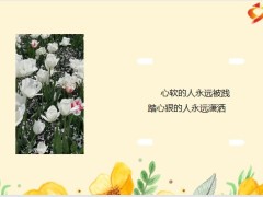 每日鸡汤励志人生岁月还漫长你心地善良终会有一人陪你骑马喝酒走四方.zip