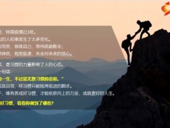 每日正能量好习惯的力量习惯之始如蛛丝习惯之后如绳索14页.pptx