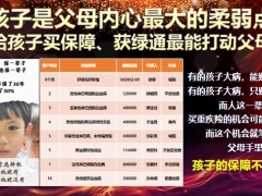 泰康惠赢年金王牌账户十年绿通薪突破宣传片30页.pptx