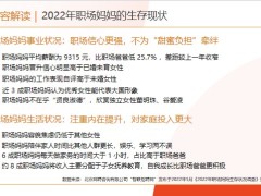 2022年职场妈妈生存状况调查报告场景应用案例演示65页.pptx