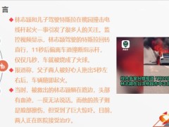 林志颖特斯事件看新能源车为啥总爱起火除了车险个人意外险不可或缺21页.pptx