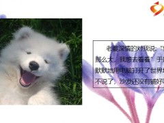 每日快乐早会22年8月9日使用12页.pptx