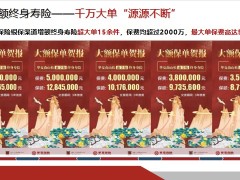 华夏传家宝3.0增额终身寿险客户来源营销渠道个人销售总结24页.pptx